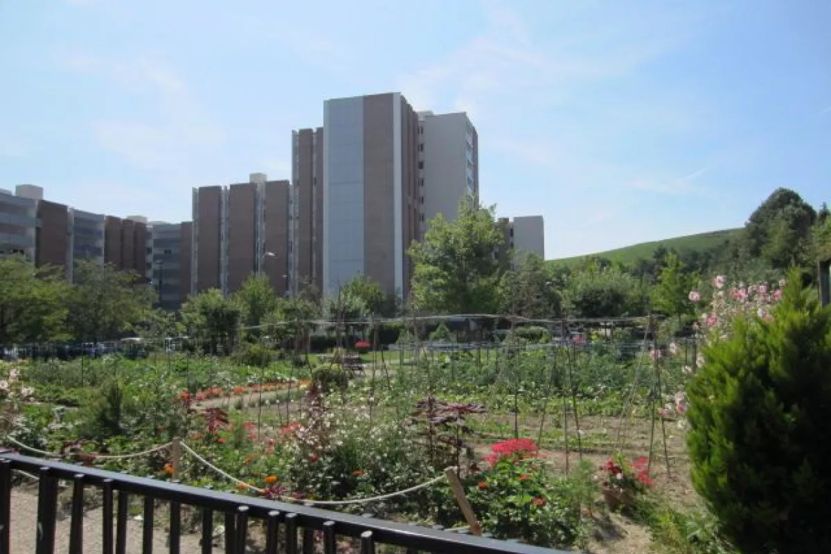 jardin - Galerie 1