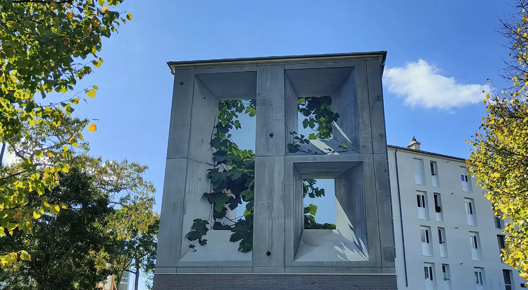 vignes-villes - Galerie 1 - Voir l'image en pleine taille