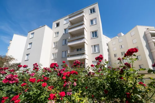 Appartement T2 - ER.11518