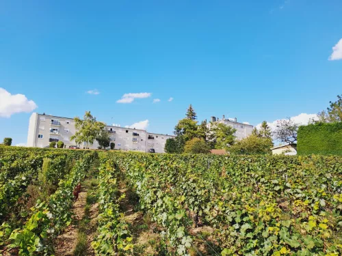 Appartement T3 - ER.22907