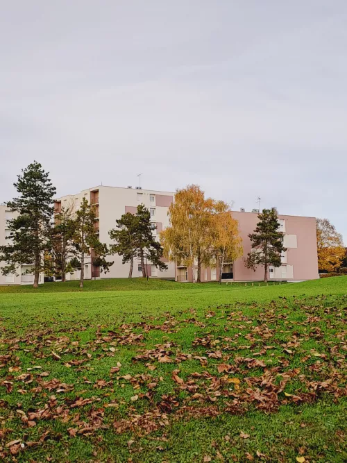 
            Location appartement T2  51.00m²  à Sezanne  (51120)  - ER.65087
            