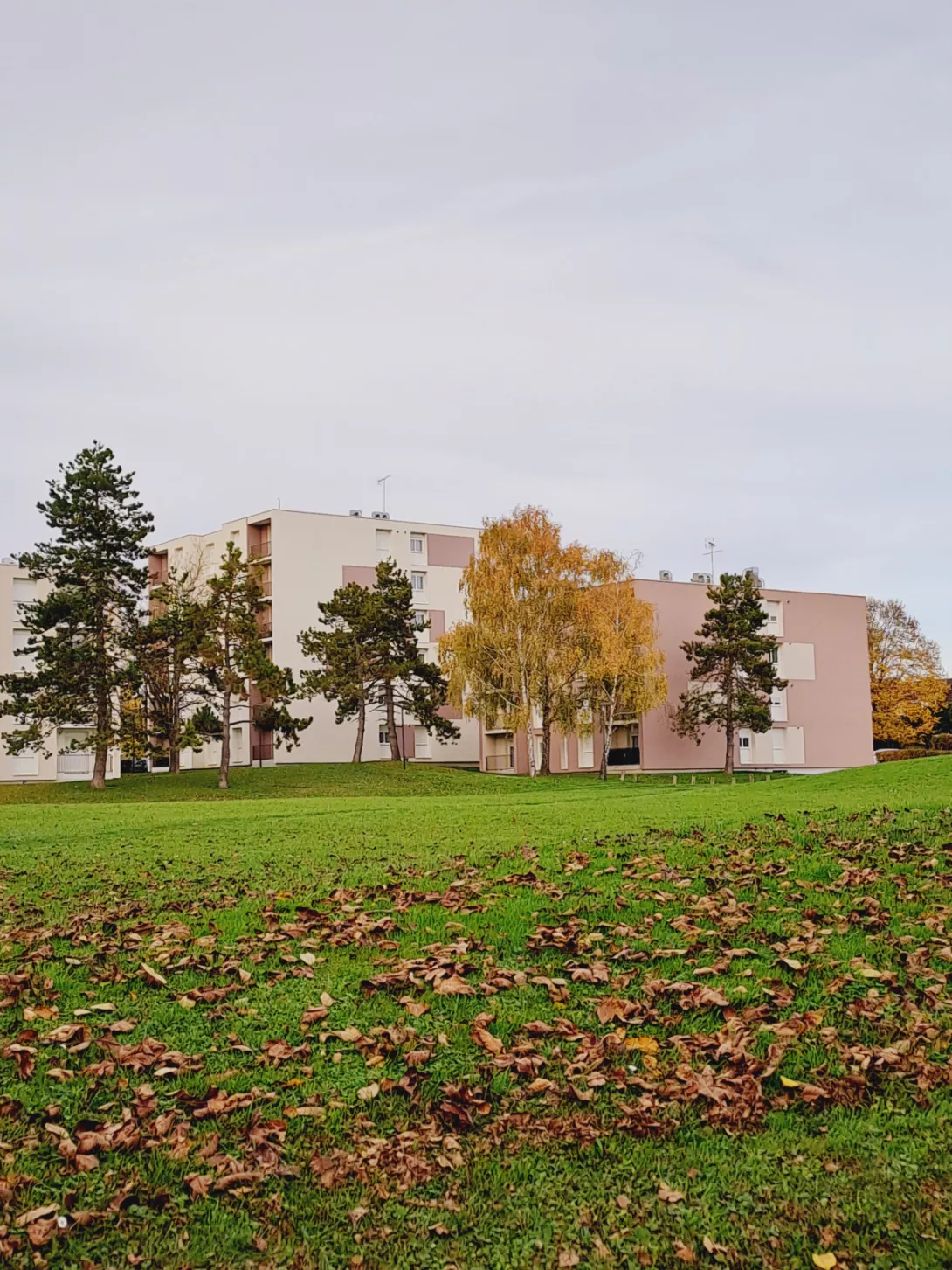  Location appartement T2  51.00m²  à Sezanne  (51120)  - ER.65087 - Galerie 1 - Ouvrir l'image en pleine taille