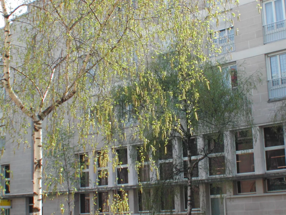  Location parking  13.00m²  à Reims  (51100)  - ER.G0086.01202 - Galerie 1 - Ouvrir l'image en pleine taille